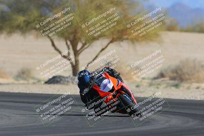 media/Feb-04-2023-SoCal Trackdays (Sat) [[8a776bf2c3]]/Turn 4 (Tree of Life 2pm)/